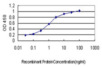 NDST1 monoclonal antibody (M01), clone 1G10