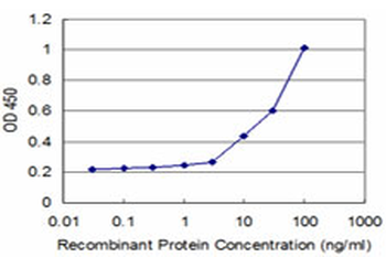 HSPA2 monoclonal antibody (M03), clone 2D11