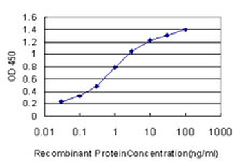 HSPA1B monoclonal antibody (M02), clone 3B7