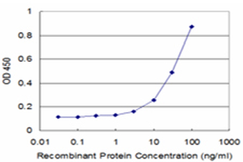 HOXC5 monoclonal antibody (M01), clone 1E10