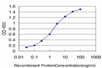 HOXB7 monoclonal antibody (M03), clone 4C6