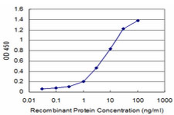 HOXB7 monoclonal antibody (M01), clone 4F9