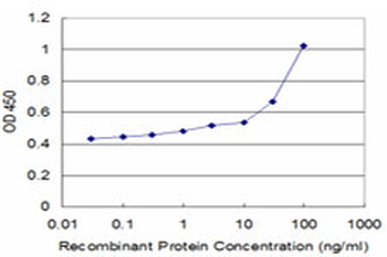 HOXA6 monoclonal antibody (M01), clone 3A6
