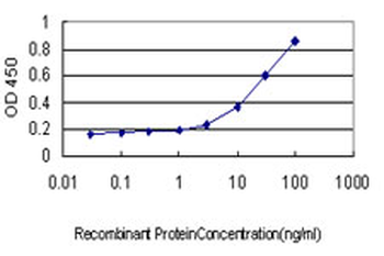 HNF4A monoclonal antibody (M04), clone 4E2