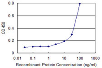 HMOX2 monoclonal antibody (M01), clone 1D8-1A8