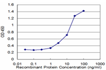 HMGCS2 monoclonal antibody (M06), clone 1E9