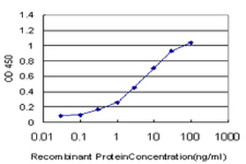 HMGB2 monoclonal antibody (M03), clone 3C7