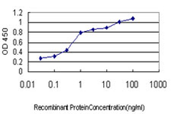 HFE monoclonal antibody (M01), clone 1G12