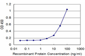 HCLS1 monoclonal antibody (M01), clone 3D5