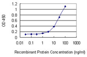 GLUD2 monoclonal antibody (M01), clone 3C2