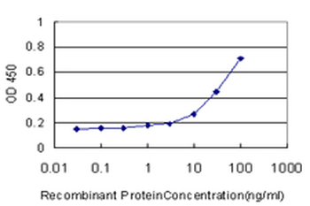 GCLM monoclonal antibody (M01), clone 2B8