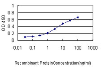 GCLC monoclonal antibody (M01), clone 3H1