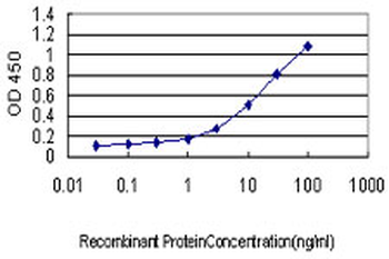 GJB3 monoclonal antibody (M01), clone 3B4-1B3