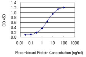 GGT1 monoclonal antibody (M01), clone 1F9