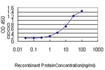 FTL monoclonal antibody (M16), clone X1