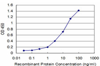 FOSL2 monoclonal antibody (M01), clone 2B4-1C2