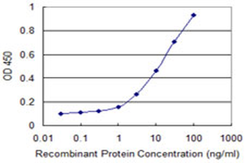 FOS monoclonal antibody (M14), clone 2D11