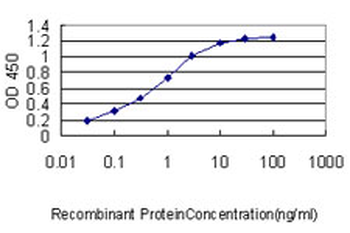 FLNA monoclonal antibody (M01), clone 4E10-1B2