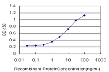 FOXO3A monoclonal antibody (M03), clone 1F6