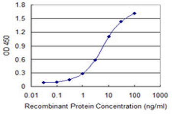 FOXC2 monoclonal antibody (M16), clone 1D4