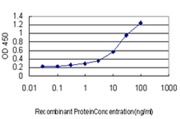 FOXF2 monoclonal antibody (M04), clone 2G10