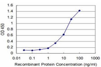 FGF8 monoclonal antibody (M06), clone 3H2
