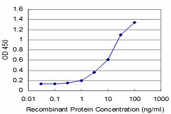 FGF8 monoclonal antibody (M01), clone 2A10