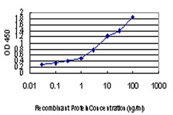 FAAH monoclonal antibody (M07), clone 4H8