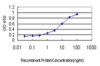 ETV6 monoclonal antibody (M01), clone 3B10