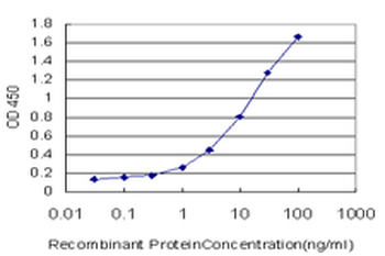 ETV5 monoclonal antibody (M01), clone 3B10