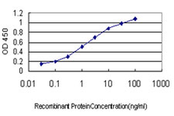 ERN1 monoclonal antibody (M02), clone 8D12