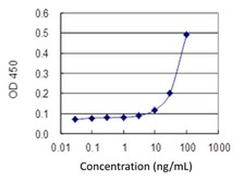 ERCC2 monoclonal antibody (M01J), clone 4G2-2A6