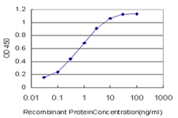 EP300 monoclonal antibody (M02), clone 1D2