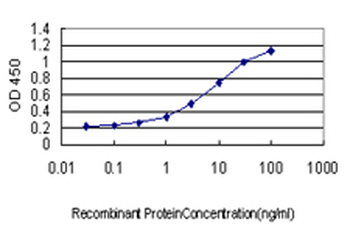 ENO2 monoclonal antibody (M01), clone 1A3