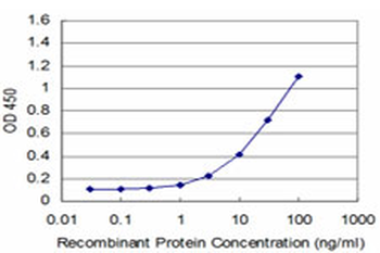 EN1 monoclonal antibody (M06), clone 1F5