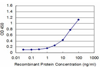 EN1 monoclonal antibody (M04), clone 3H2