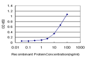 ELAVL4 monoclonal antibody (M01), clone 6B9