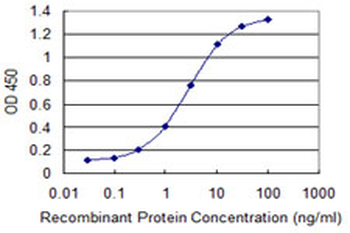 ELAVL1 monoclonal antibody (M02), clone 4G8