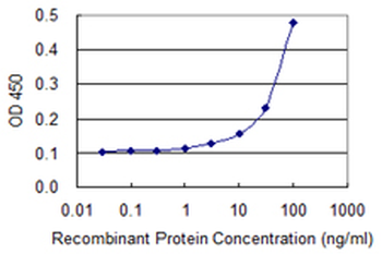 EIF5A monoclonal antibody (M01), clone 8C1