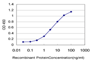EIF4G1 monoclonal antibody (M10), clone 2A9