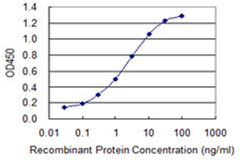 EIF4G1 monoclonal antibody (M01), clone 3A10