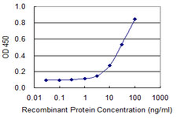 EIF2S3 monoclonal antibody (M01), clone 2C9