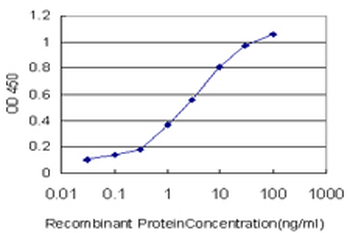 EGR1 monoclonal antibody (M03), clone 6E8