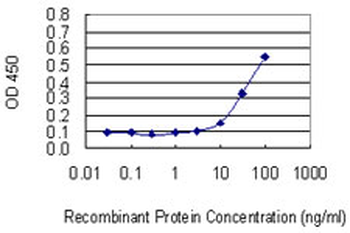 EIF2D monoclonal antibody (M05), clone 2D10