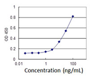 EBF1 monoclonal antibody (M01J), clone 1C12
