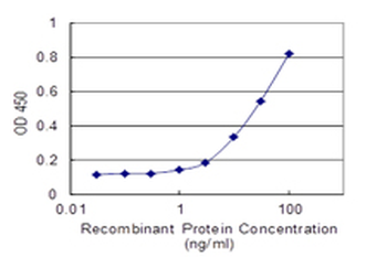 EBF1 monoclonal antibody (M01), clone 1C12