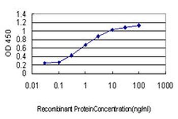 DYRK1A monoclonal antibody (M01), clone 7D10