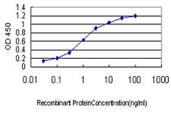 DUT monoclonal antibody (M01), clone 1C9
