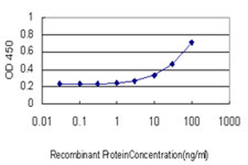 DUSP4 monoclonal antibody (M08), clone 1D12