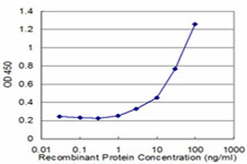 DTNB monoclonal antibody (M03), clone 1D3